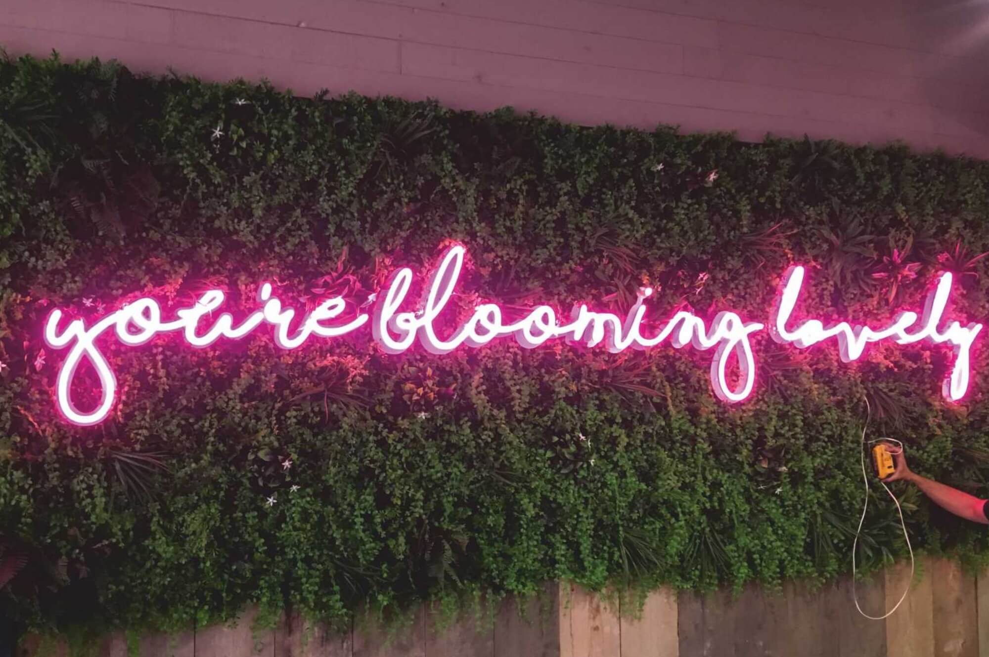 Portland Lighting Our Products